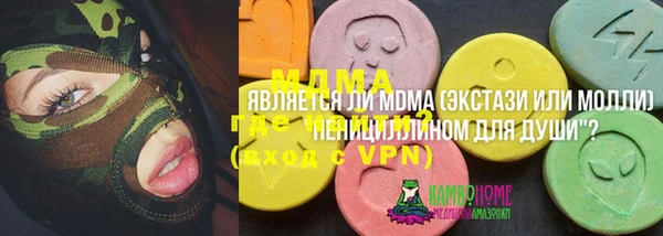 амф Бородино