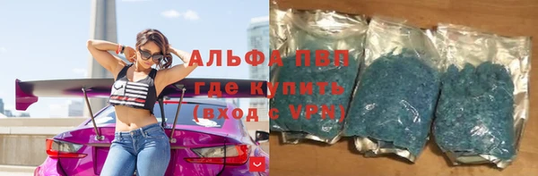 амф Бородино