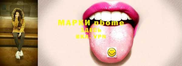 амф Бородино