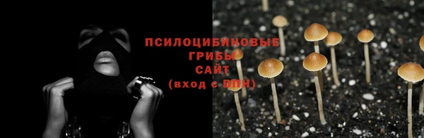 амф Бородино