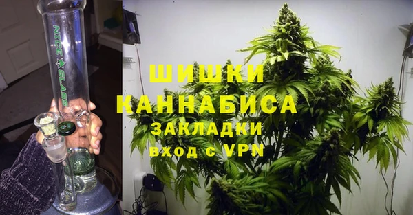 амф Бородино