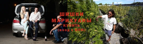 mix Бронницы