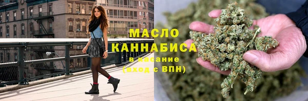 амф Бородино