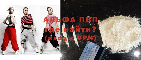 амф Бородино