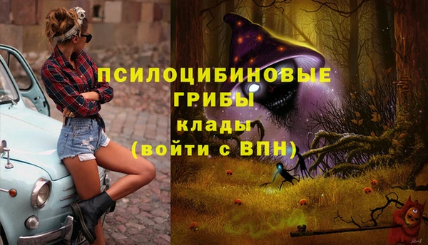 стафф Бугульма